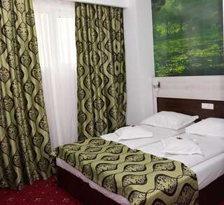 Отель Hotel Orhideea Бузэу Двухместный номер с 1 кроватью-1