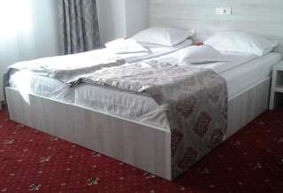 Отель Hotel Orhideea Бузэу Двухместный номер с 1 кроватью-10