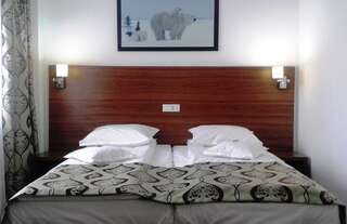 Отель Hotel Orhideea Бузэу Двухместный номер с 1 кроватью-11